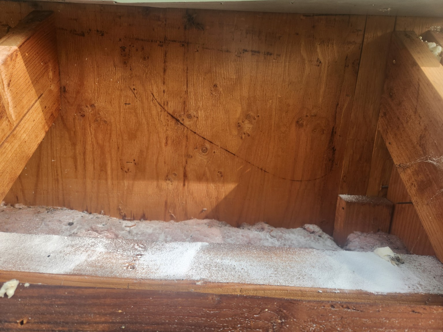 Clean wall cavity after bees removed