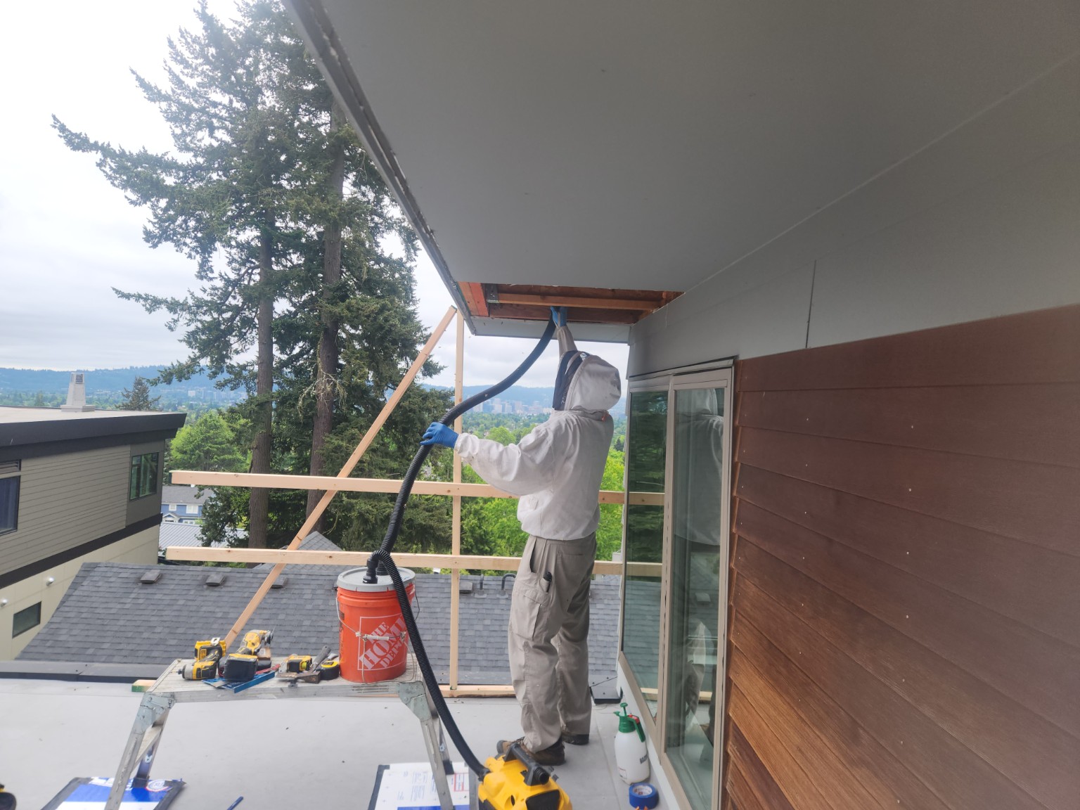 Live bee removal from roof structure