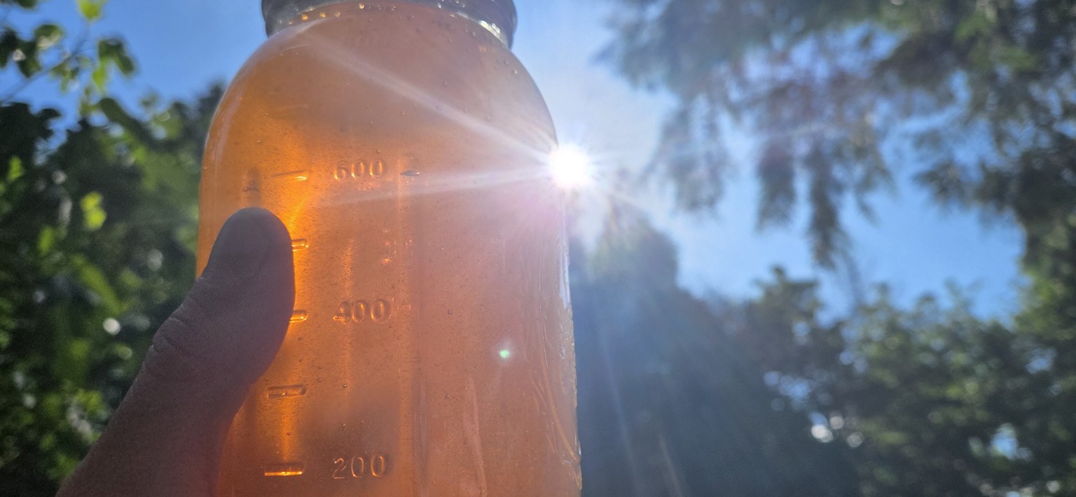 Local honey in a jar